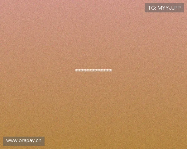 全面更新体育器材价格一览表助您科学选购与合理预算